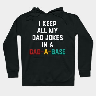 I Keep All My Dad Jokes In A Dad-a-base Vintage Hoodie